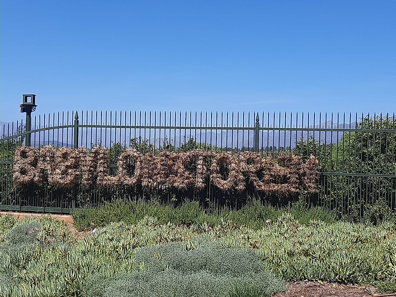 The Babylonstoren sign spelled out in a hedge with mountains behind