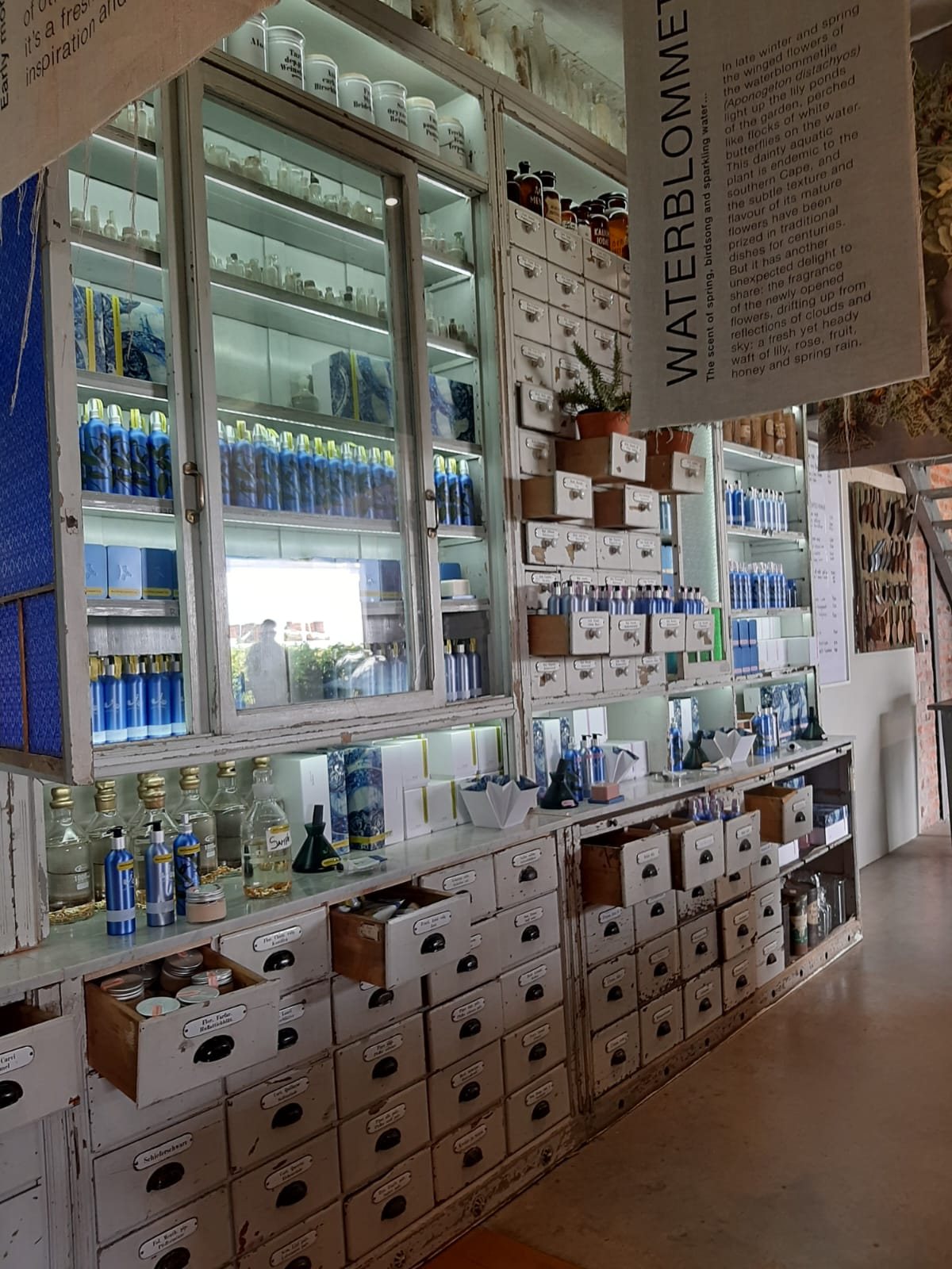The farm shop apothecary shelves lined with bottles at Babylonstoren