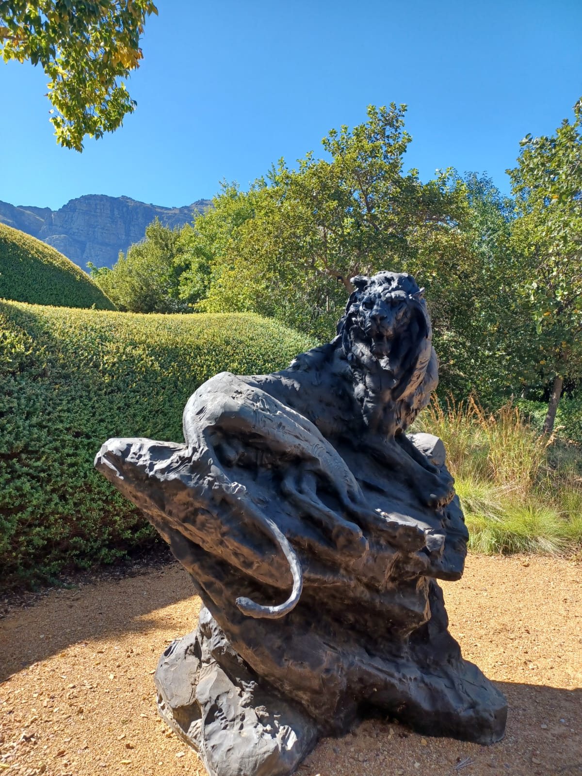 Monumental bronze leopard sculpture by Dylan Lewis on a rock in the garden