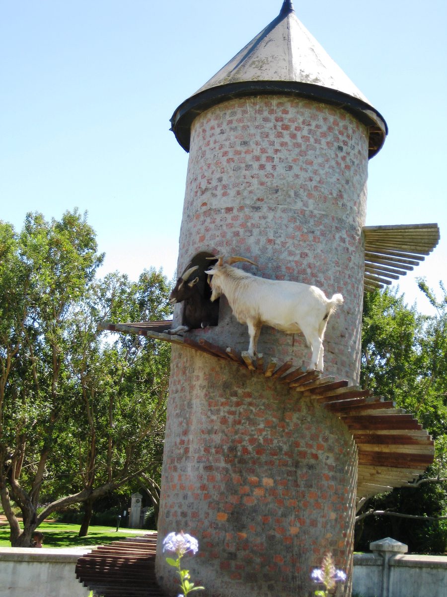 Goats Do Roam four Winelands estates