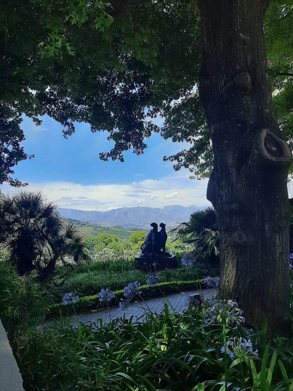 Muratie estate garden with sculpture and Simonsberg mountain views