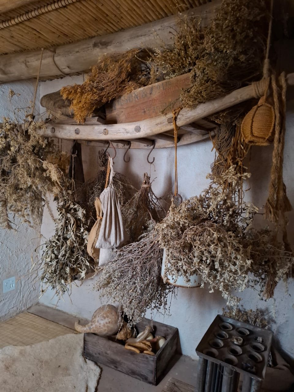 Dried herbs and old tools hanging in a store room at Soetmelksvlei
