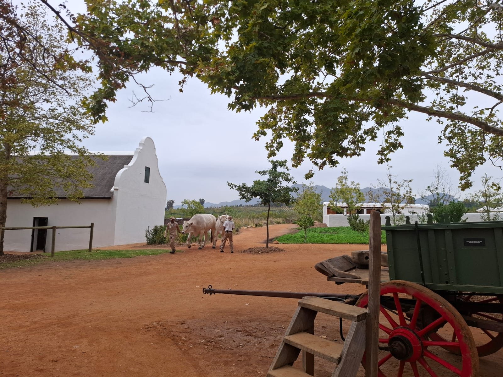 The farmyard at Soetmelksvlei, a living farm at Babylonstoren in the Cape Winelands