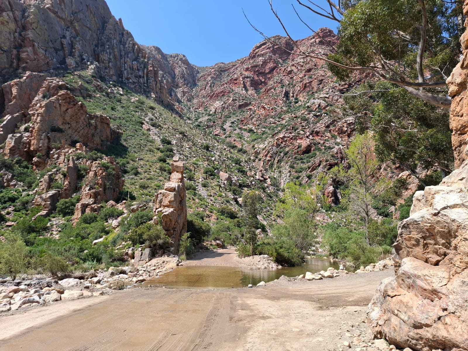 The Swartberg Pass road crossing a shallow river in a red-rock gorge near the Oudtshoorn side