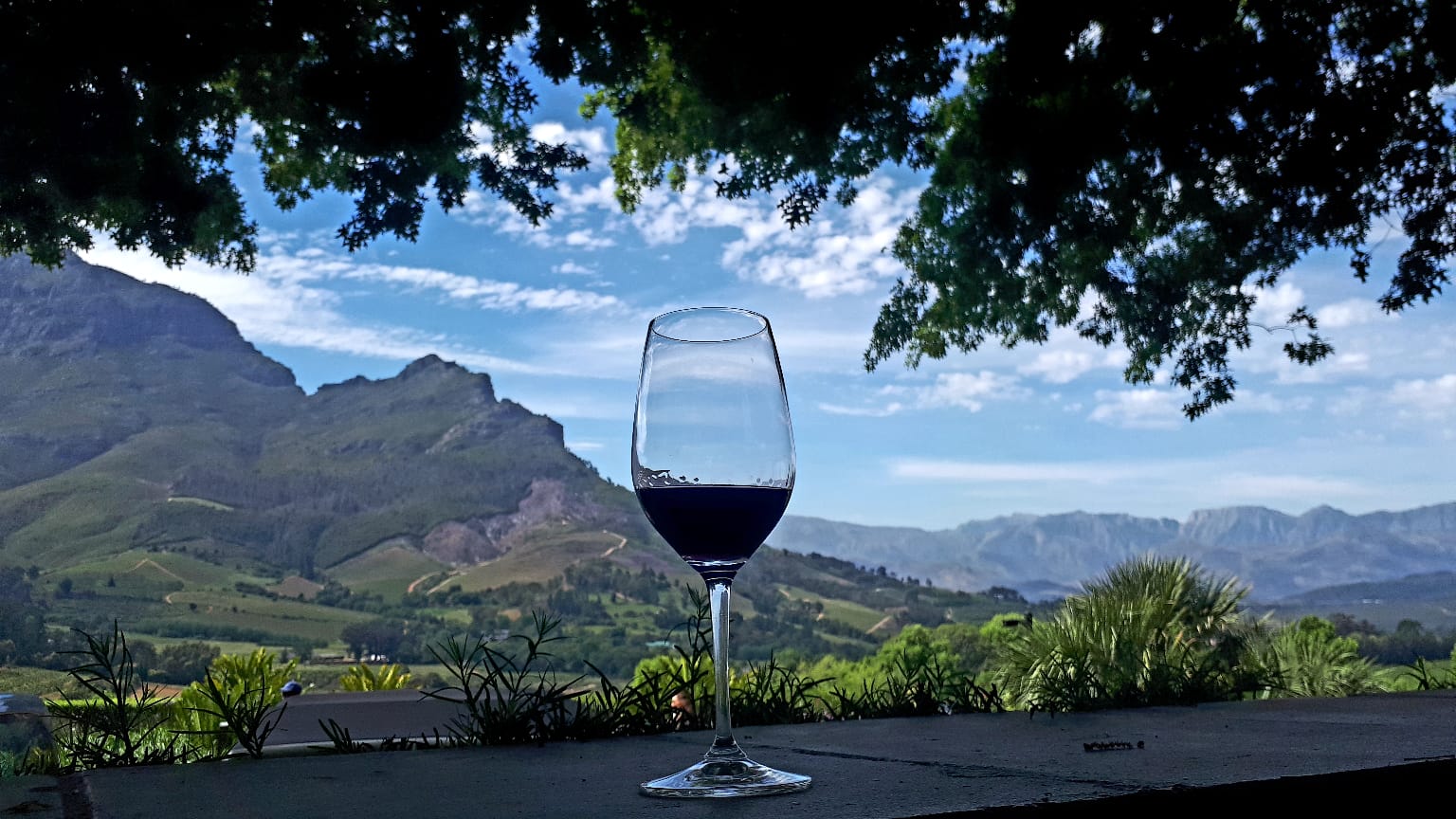 Wine glass with Stellenbosch mountains, Winelands Cape Town
